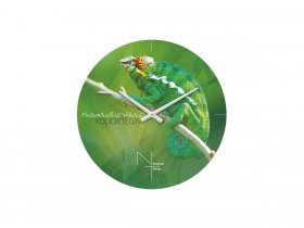 Часы настенные Nicole Time NT503 в Удачном - udachnyj.mebel-nsk.ru | фото